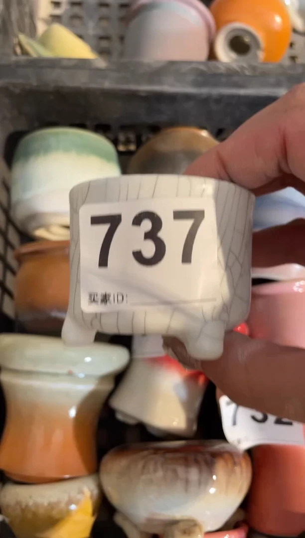 【闪购商品】摆件737福利微瑕知木小芳花盆