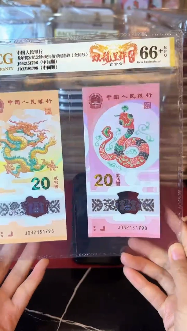 塑料2024 龙蛇爱藏全同号 一对  如图