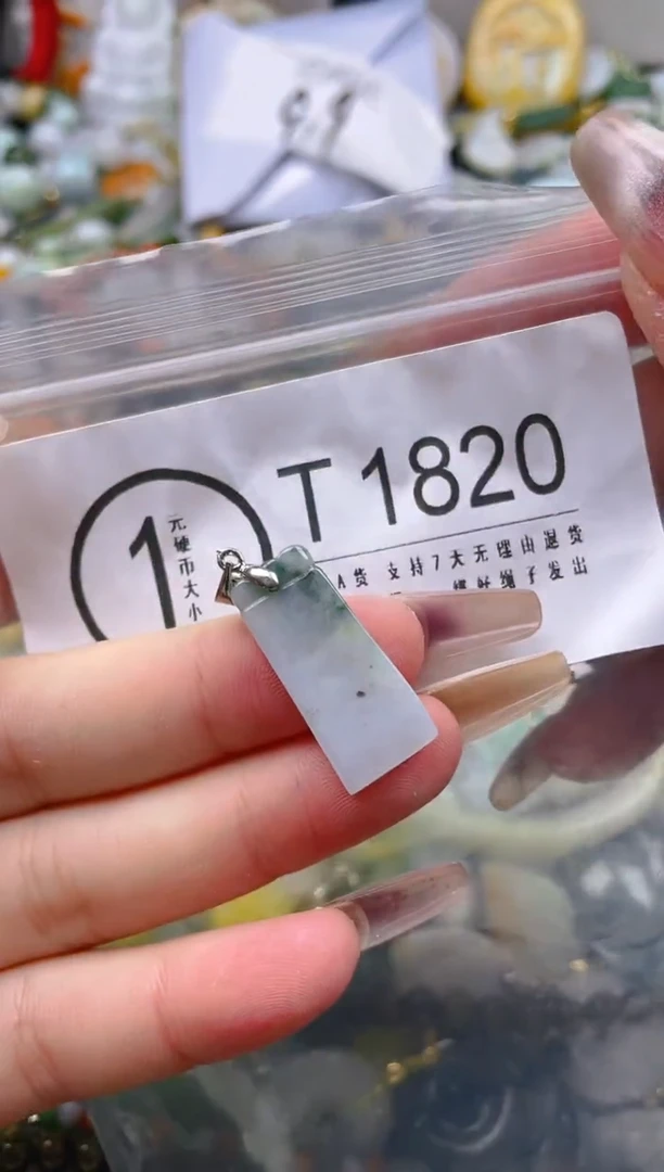 【闪购商品】翡翠颈饰未镶嵌/T/翡翠A货一图一物