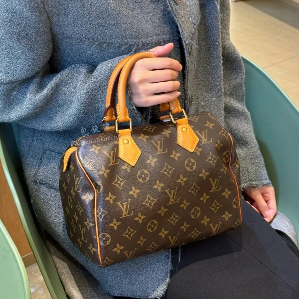 95新 LouisVuitton/路易威登 LV 老花经典speedy25手提款bwz12067