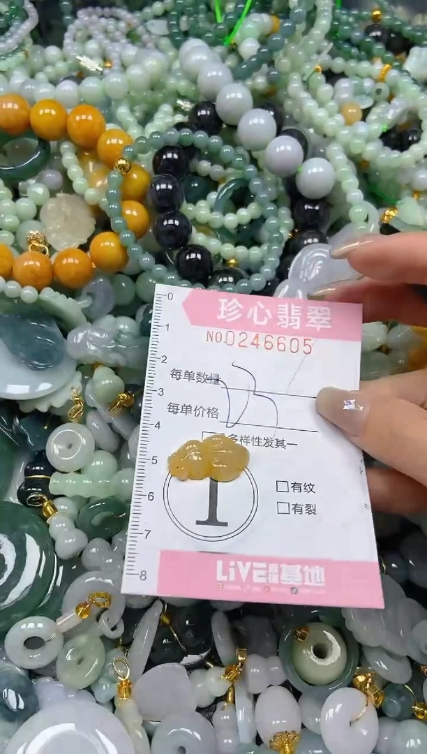 翡翠未镶嵌颈饰闪购0246605