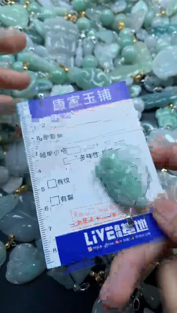 颈饰未镶嵌翡翠3485