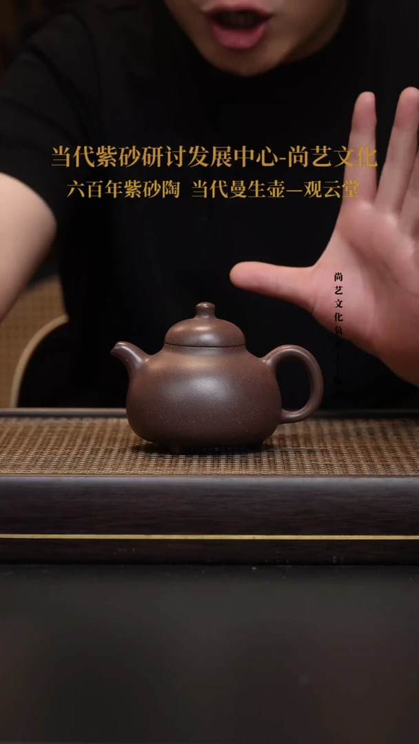 茶壶紫砂宜兴紫砂 紫砂壶 FWH老料天青