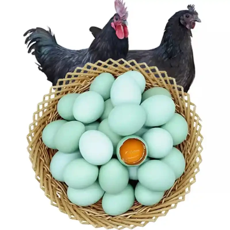 乌鸡蛋20枚 袋装