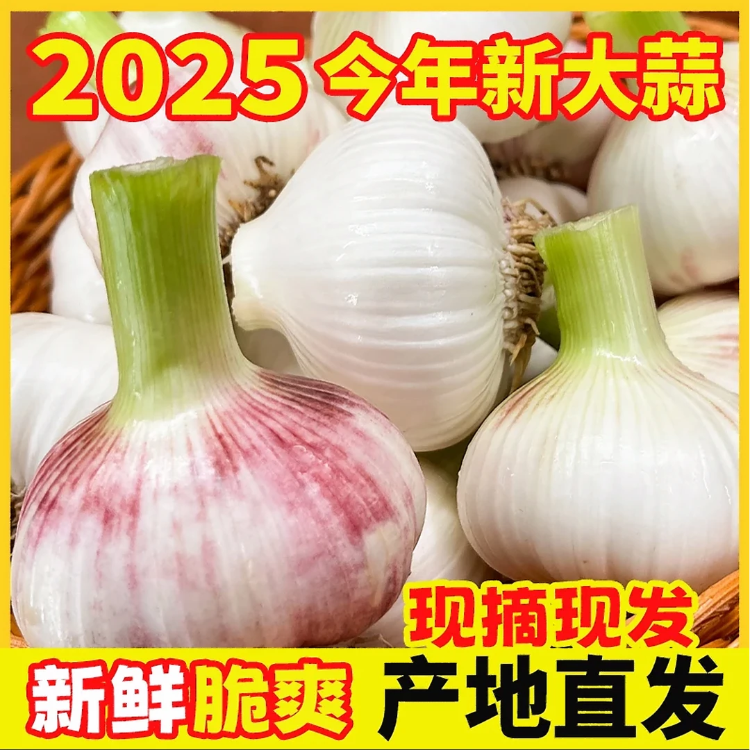 尝华农25年新鲜现挖紫白皮大蒜带箱5斤装新鲜蔬菜多瓣蒜多仓发ZH