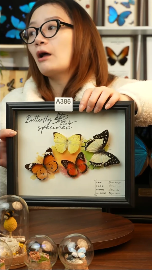 四色蝴蝶组合（10寸欧式黑框）A386