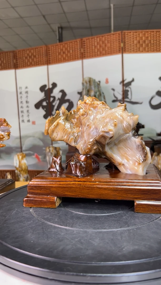 未镶嵌珠宝奇石硅化玉7