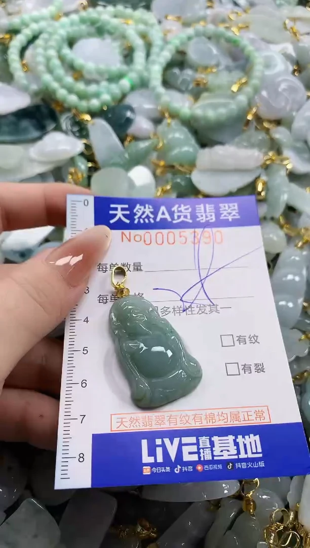 颈饰未镶嵌翡翠天然A货翡翠