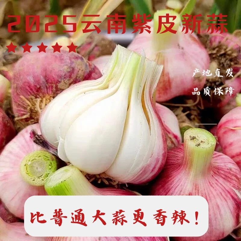 云南新产季紫皮新蒜