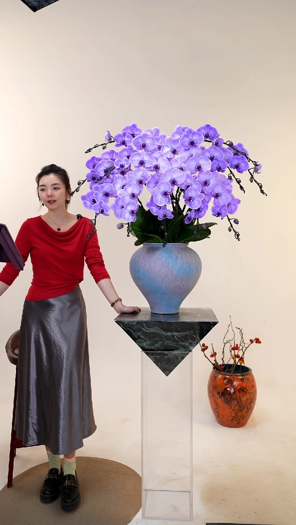 全部花朵060一物一拍蝴蝶兰盆景