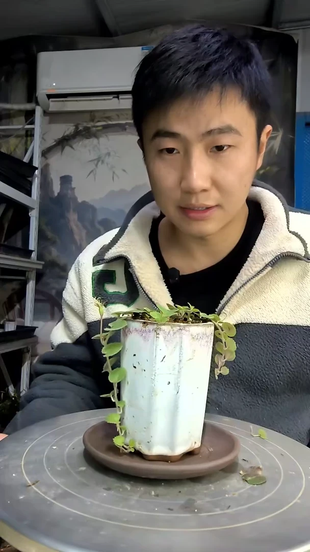 阿*中青园艺一物一拍花23