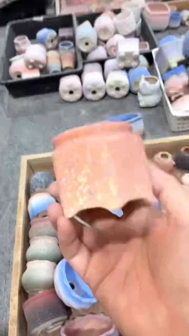 茵茵的欧气花园5*5