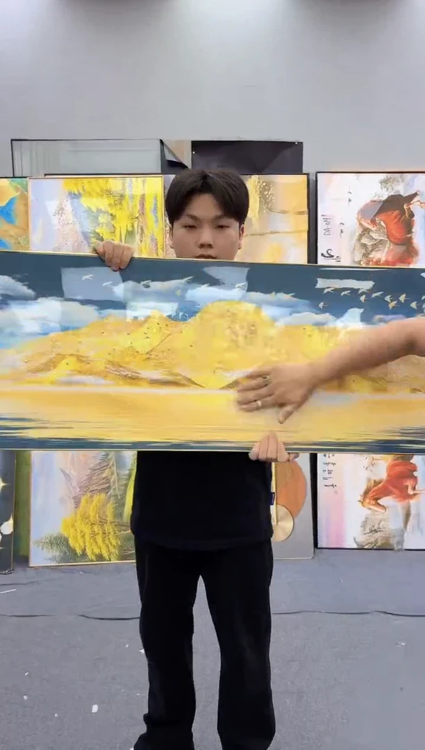 孤品微瑕黑马闪购C017