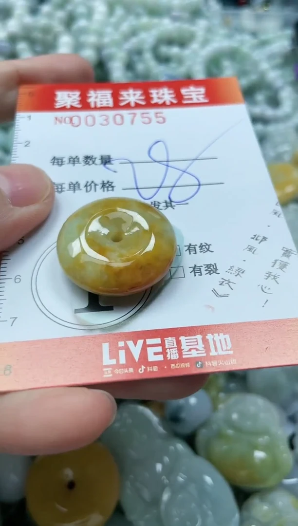 【闪购商品】翡翠颈饰未镶嵌闪购0030755