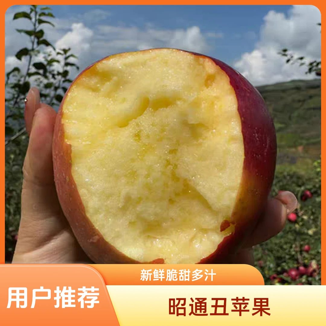 云南昭通丑苹果脆甜多汁新鲜应季水果现摘现发