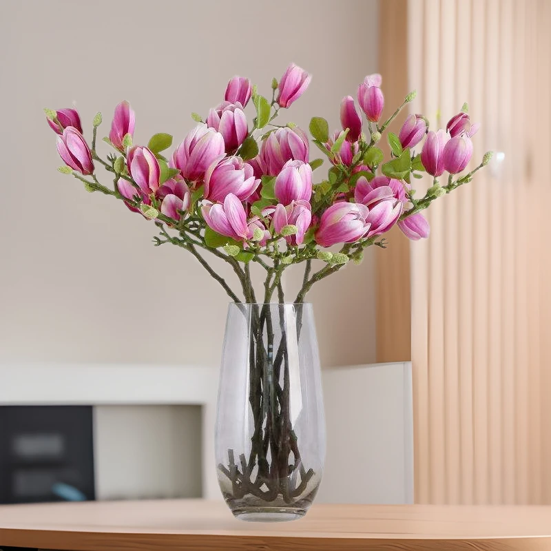 【调性年宵花】玉兰花鲜枝带花苞水培植物室内盆栽好养易活森系