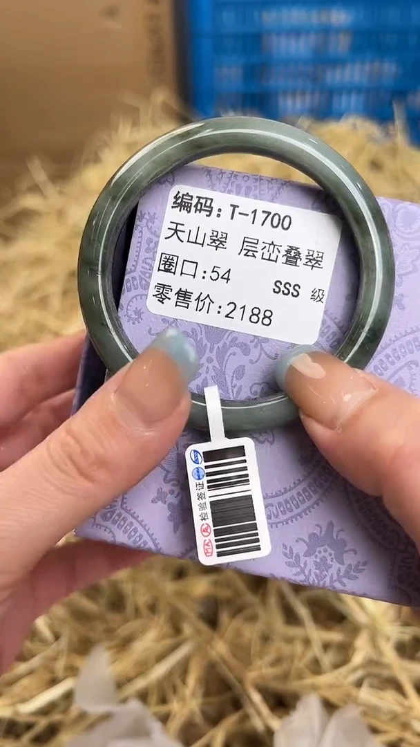 未镶嵌手镯石英质玉T-1700