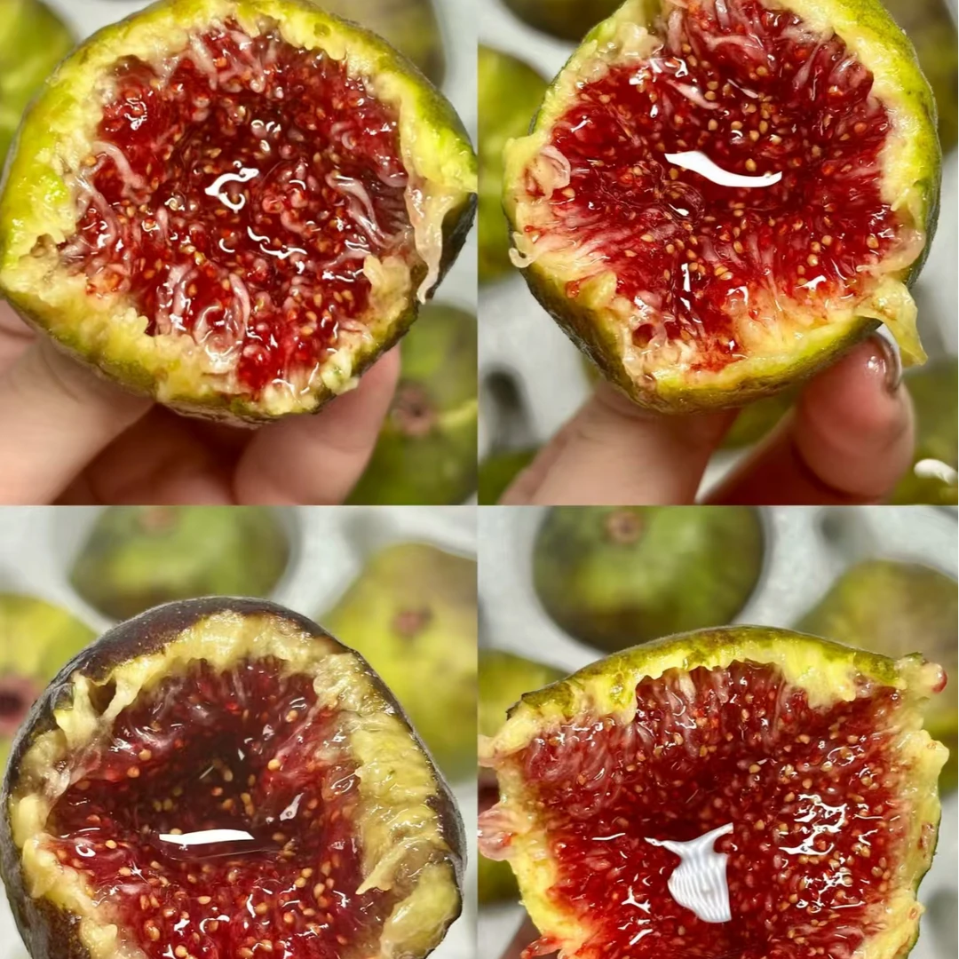 【莎莎甄选】格莱斯+芭劳奈无花果双拼/蜜甜多汁/2斤装顺丰空运包邮