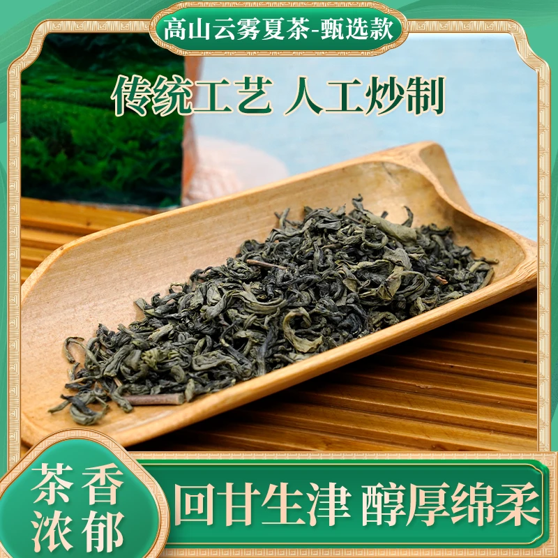 广东揭西高山云雾夏茶甄选款250g醇厚绵柔回甘生津