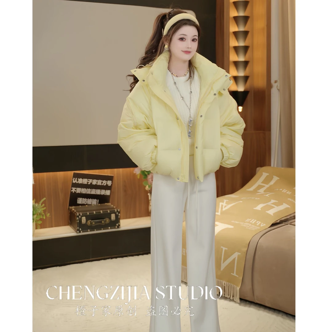 【裴诗婷】WT00073羽绒立领设计感袖子保暖外套05