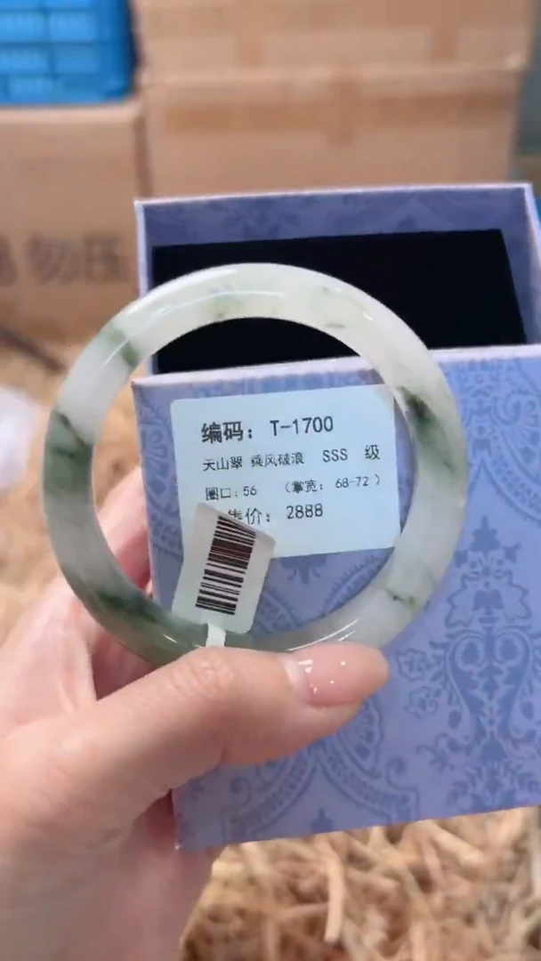 未镶嵌手镯石英质玉T-1700
