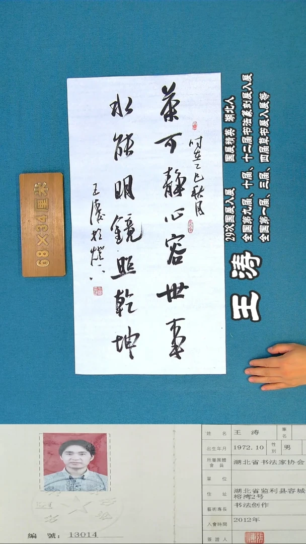 书法19R王涛书法作品