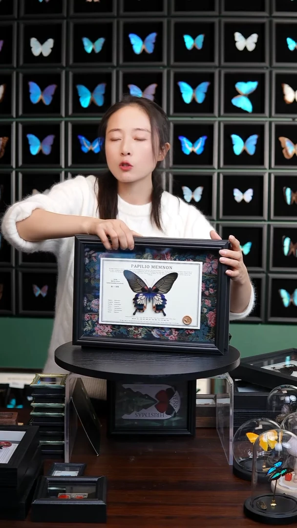 美凤蝶A4横框布艺款有尾