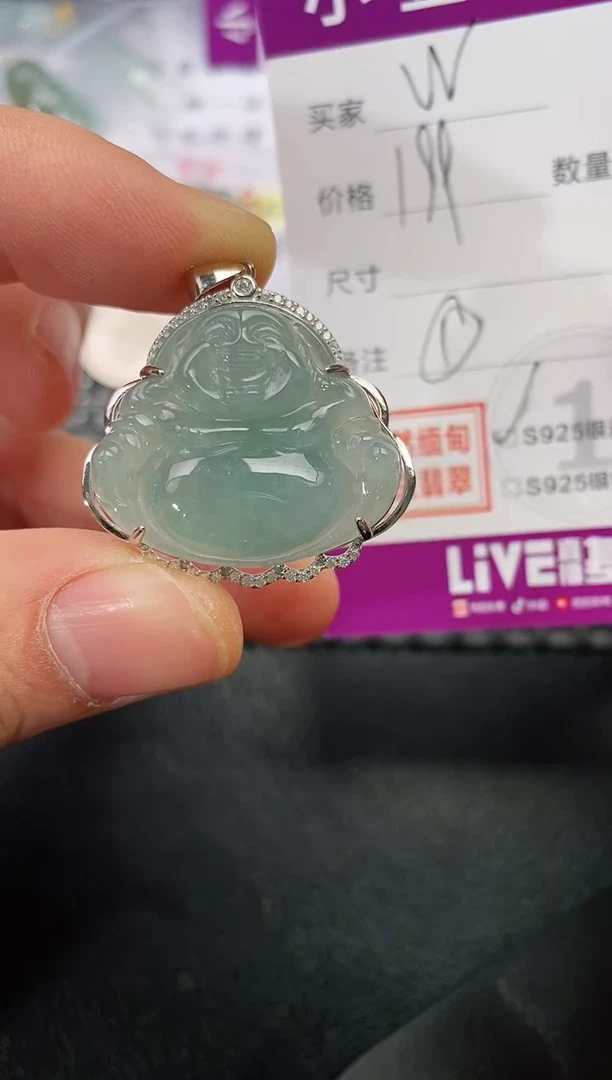 颈饰银S925镶嵌翡翠W***珍199