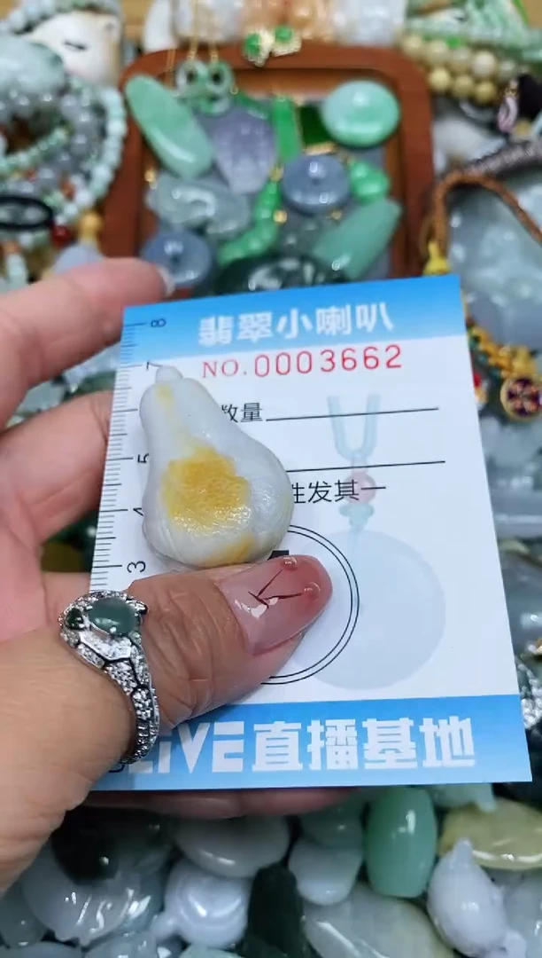 【闪购商品】翡翠颈饰未镶嵌闪购0003662