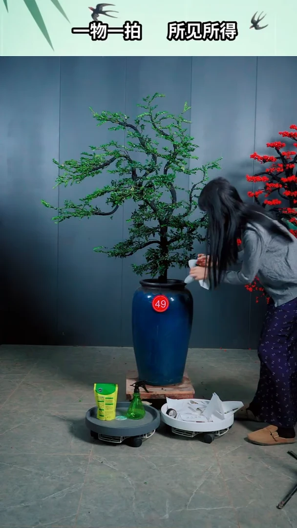无花朵王***r49号广东小叶紫檀