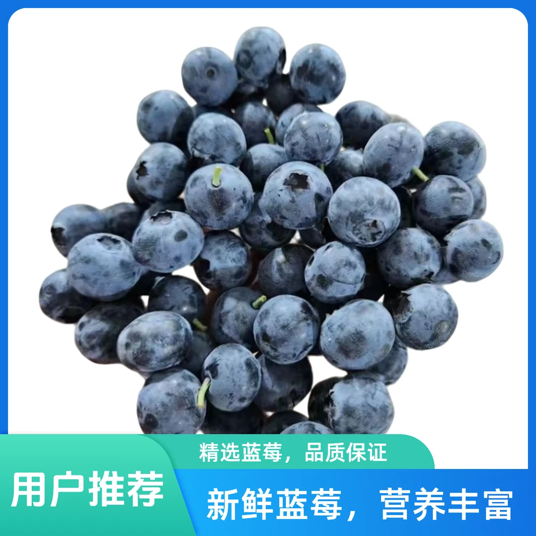 蓝莓一份（汇园大道店配送）17-21mm 8-10mm云南约400g