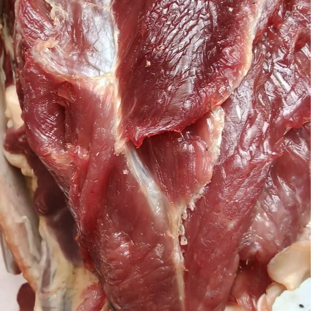 新鲜黄牛肉 真空发货肉质鲜美