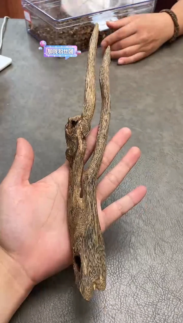 沉香摆件11号奇楠 块料多样性发一个