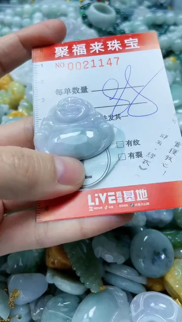 【闪购商品】翡翠颈饰未镶嵌闪购0021147