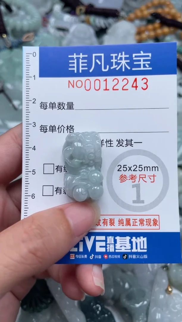 颈饰未镶嵌翡翠12243