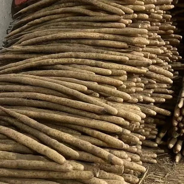 【淘家纺】蠡县小白嘴山药新鲜现发