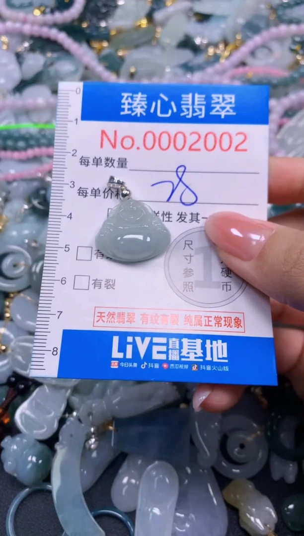 吊坠(不含链)未镶嵌翡翠2002