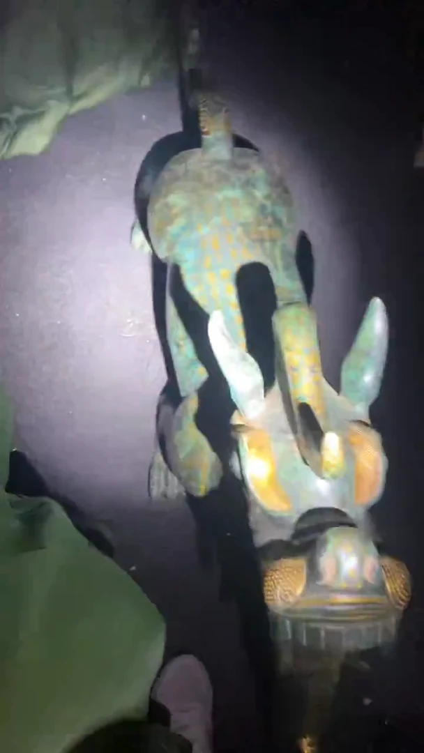 11111111111111111111111