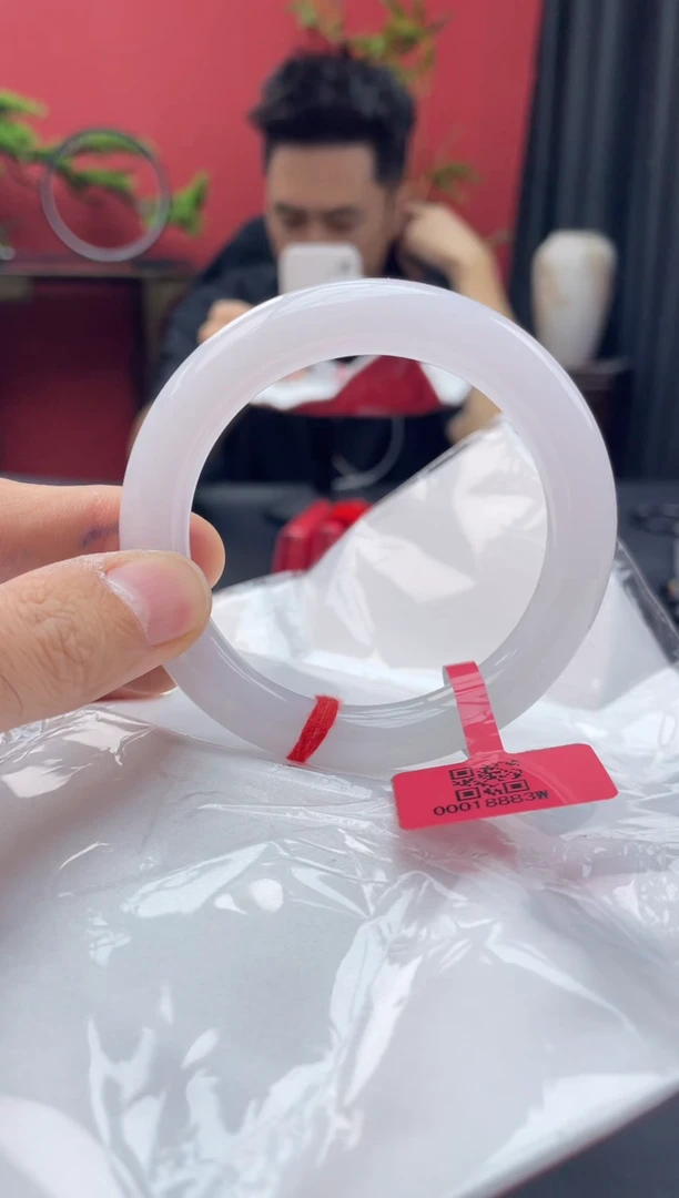 未镶嵌手镯翡翠4