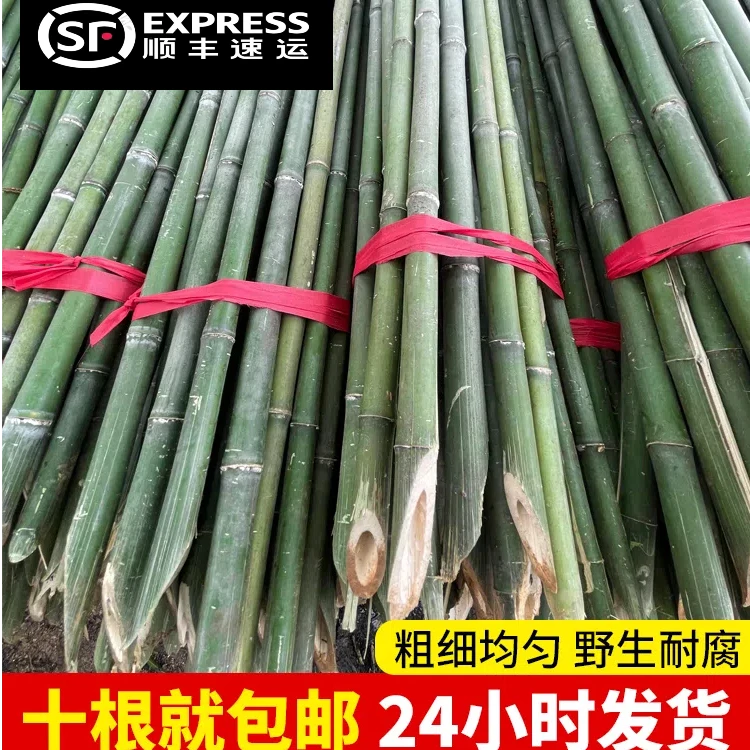 顺丰包邮竹竿菜园搭架蔬菜黄瓜番茄豆角架杆竹细竹竿旗杆架爬藤架