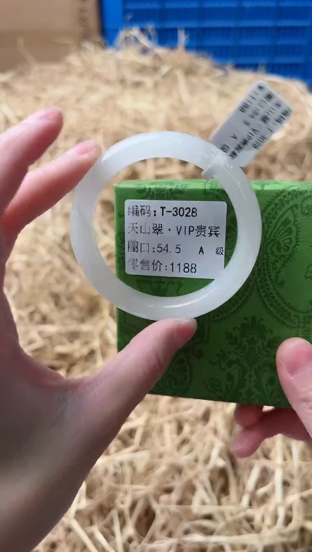 未镶嵌手镯石英质玉T-3028