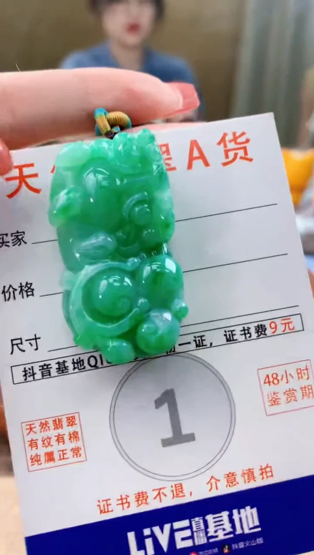 颈饰未镶嵌翡翠天然A货翡翠挂件