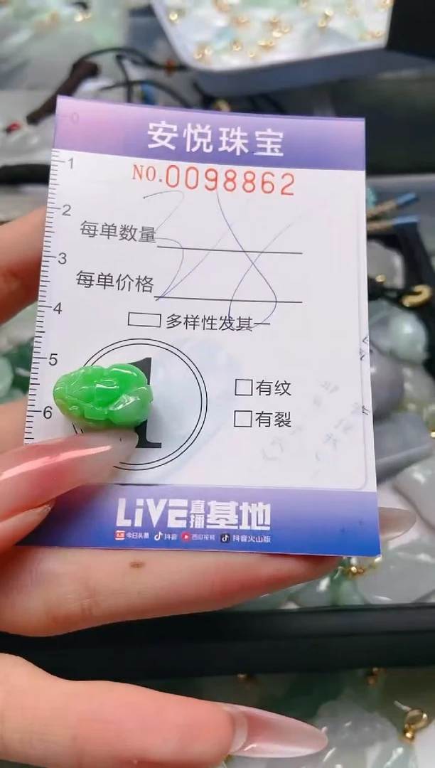 【闪购商品】翡翠颈饰未镶嵌闪购0098862
