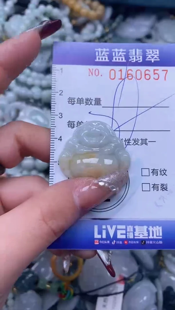【闪购商品】翡翠颈饰未镶嵌闪购0160657多样性发其一
