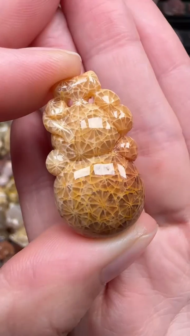 颈饰未镶嵌硅化珊瑚（珊瑚玉）823