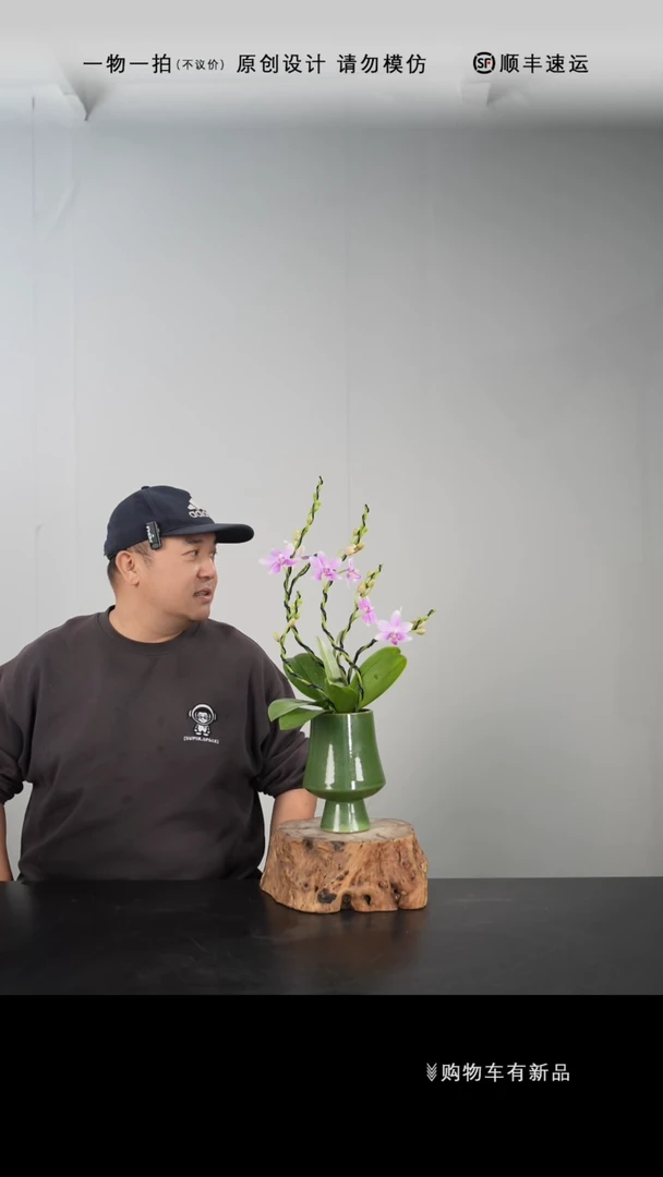 【闪购商品】020号链接【一物一拍】艺术盆景