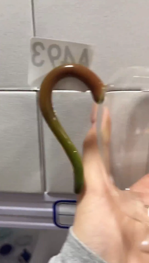 渐变红绿怡然111111111