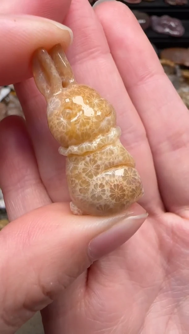 颈饰未镶嵌硅化珊瑚（珊瑚玉）658