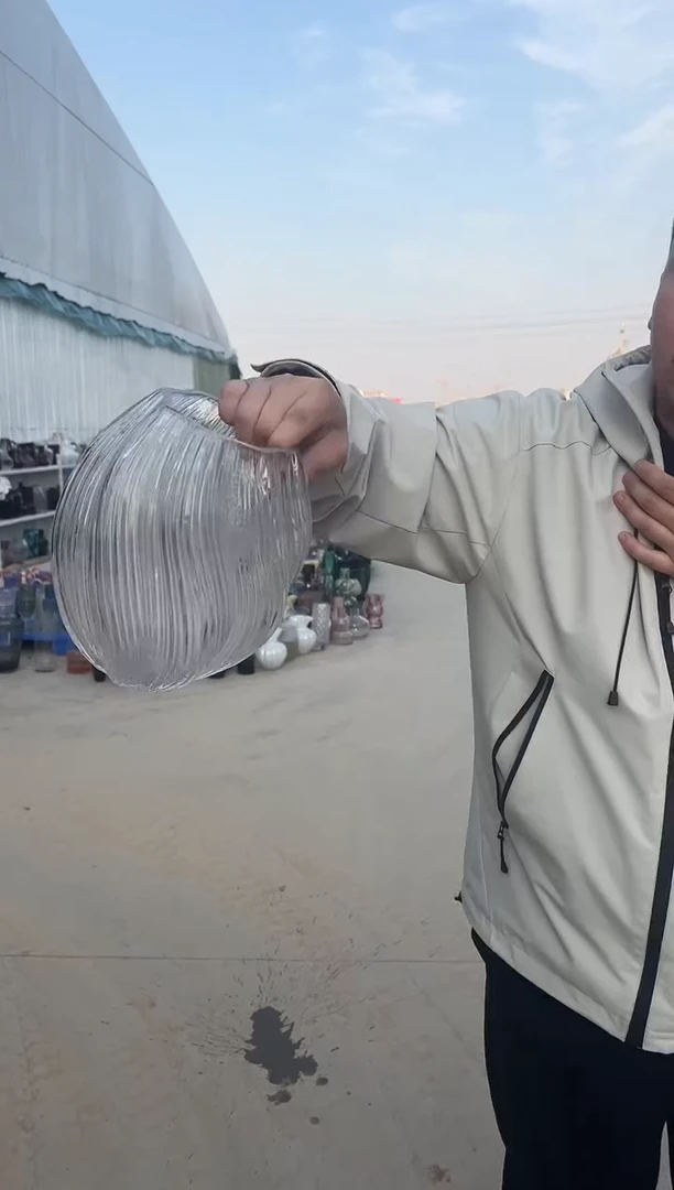 水养鲜花干花插花客厅装饰品小