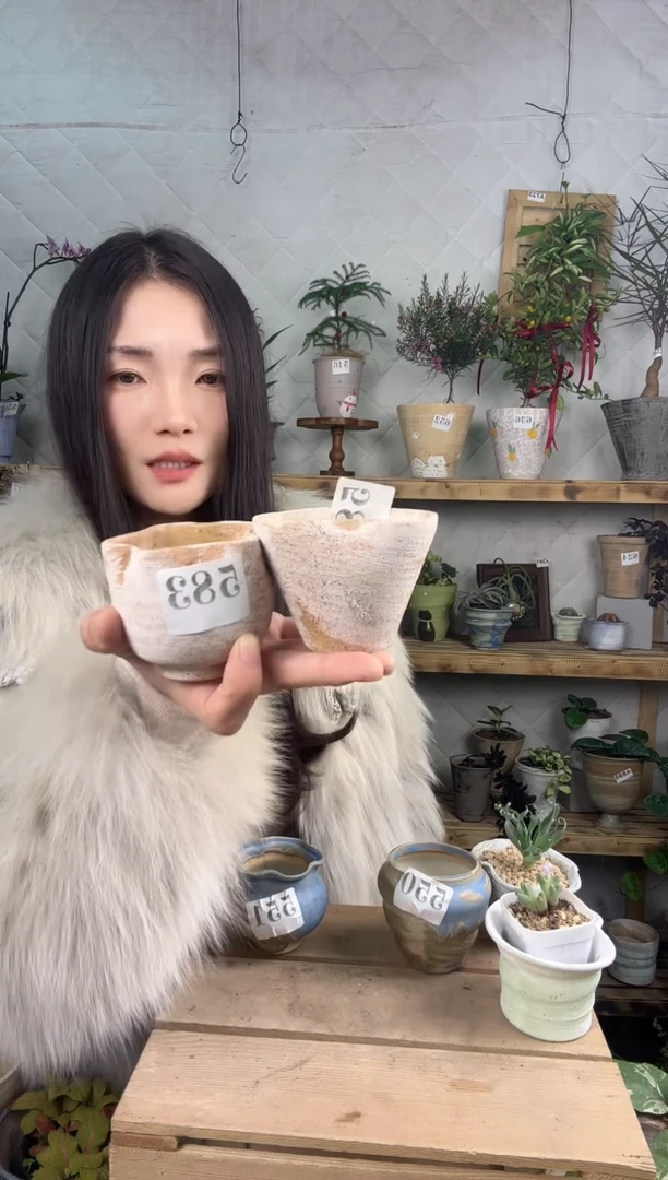 无花朵编号     582   583 景德镇手绘花盆俩盆组合
